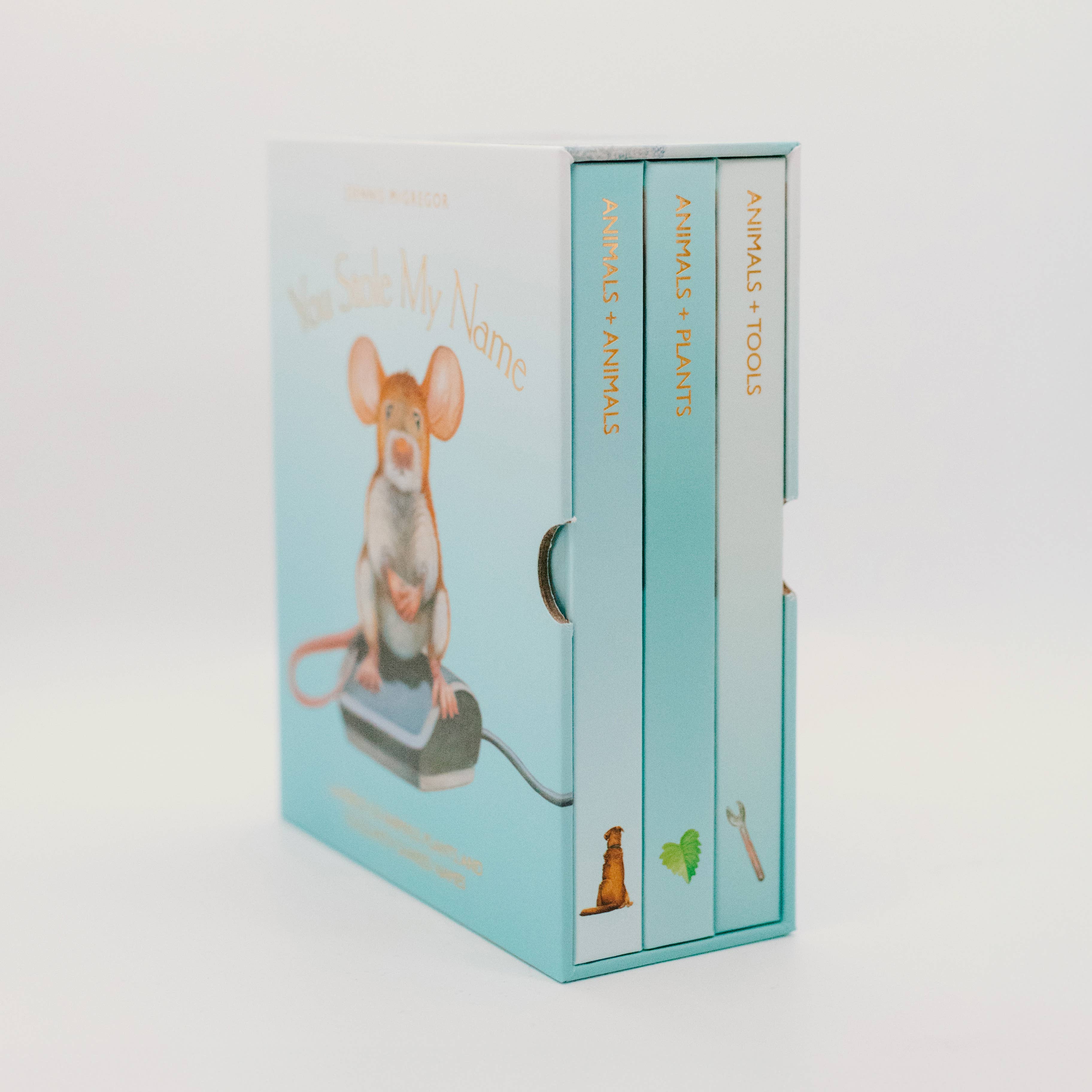 you stole my name board book box set