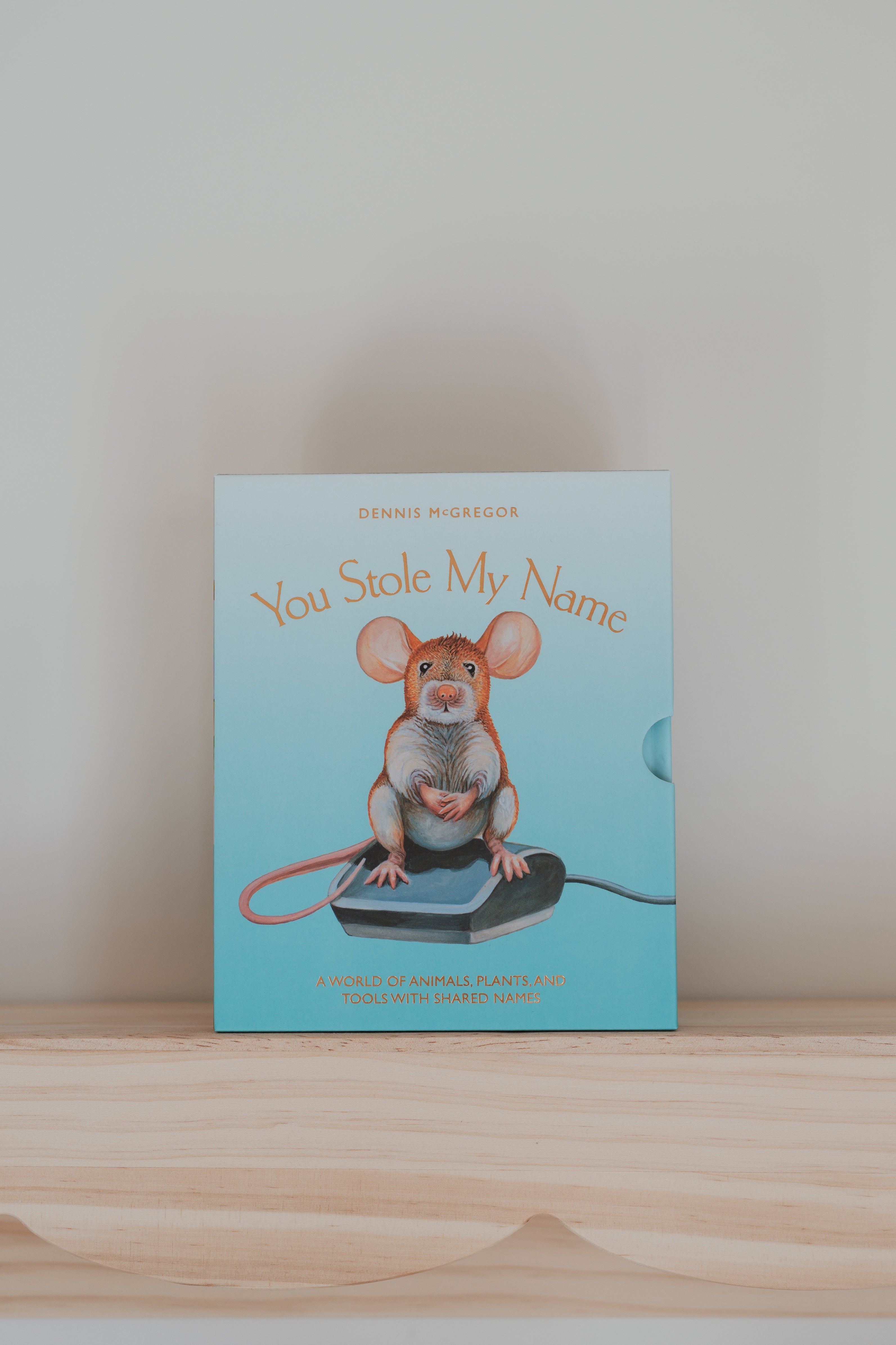 you stole my name board book box set
