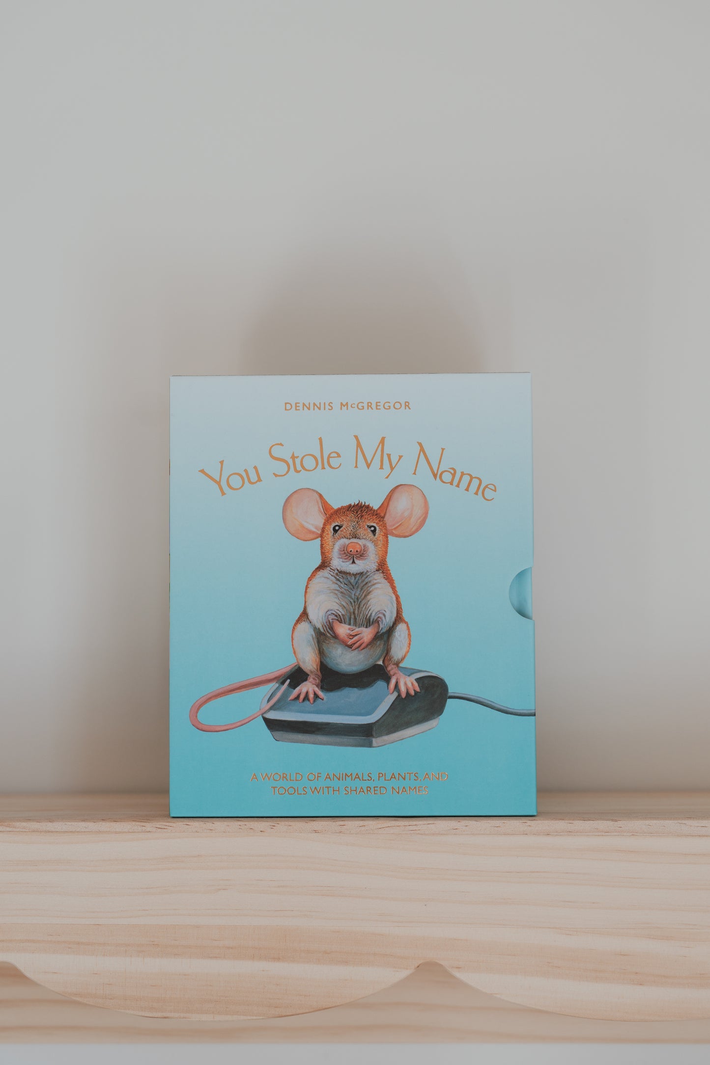 you stole my name board book box set