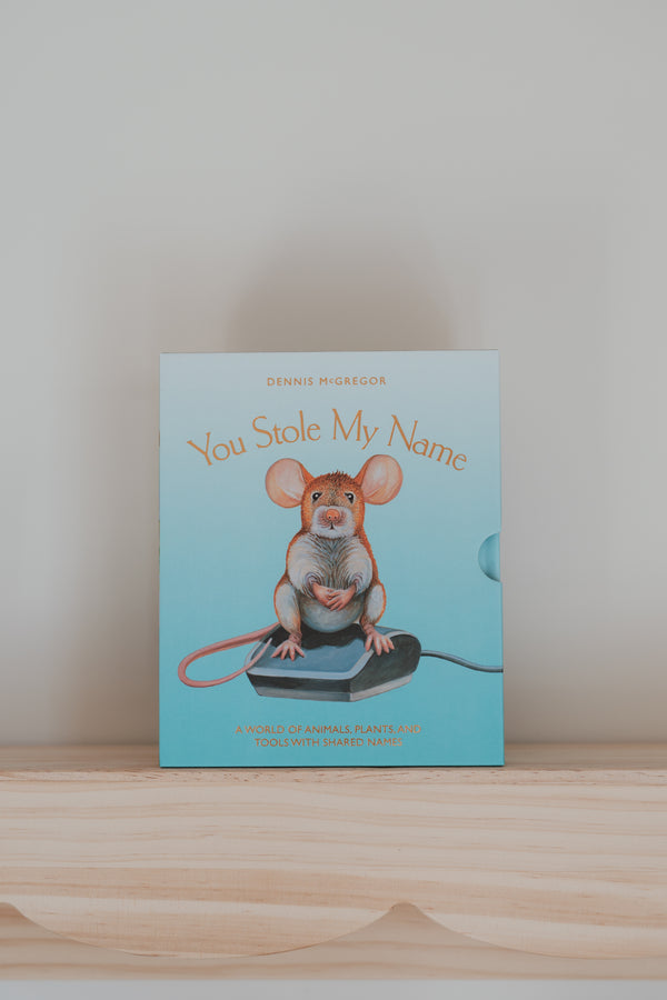 you stole my name board book box set