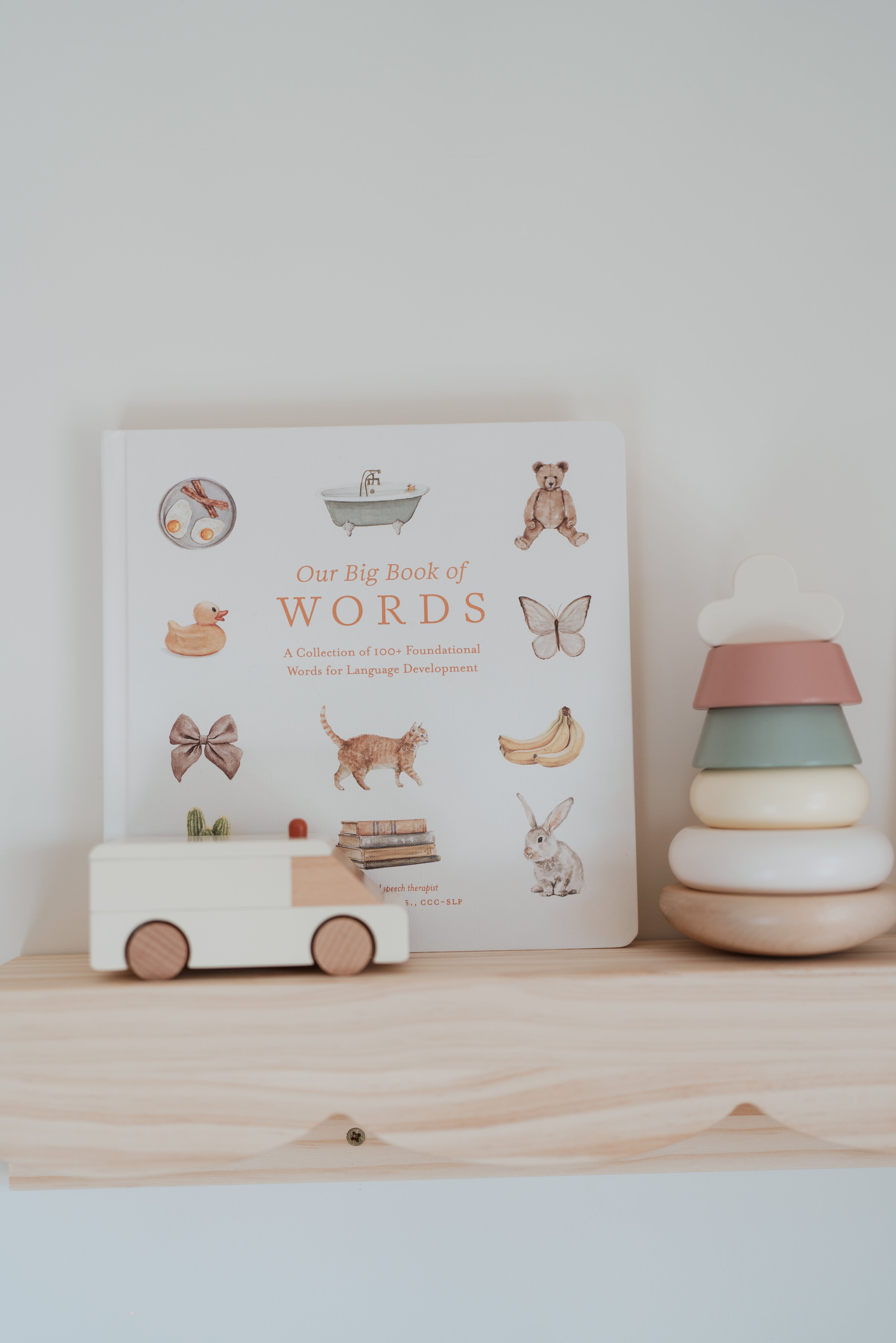 our big book of first words (board book)