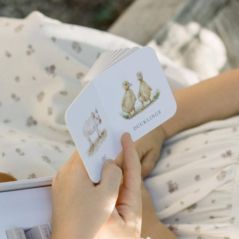 our very little library board book set