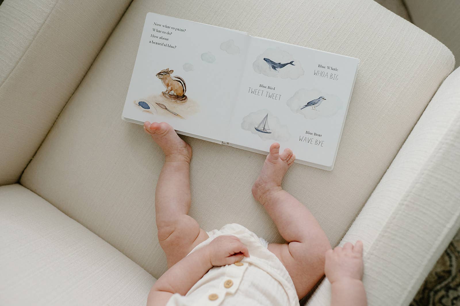 wishy washy: a board book of first words and colours