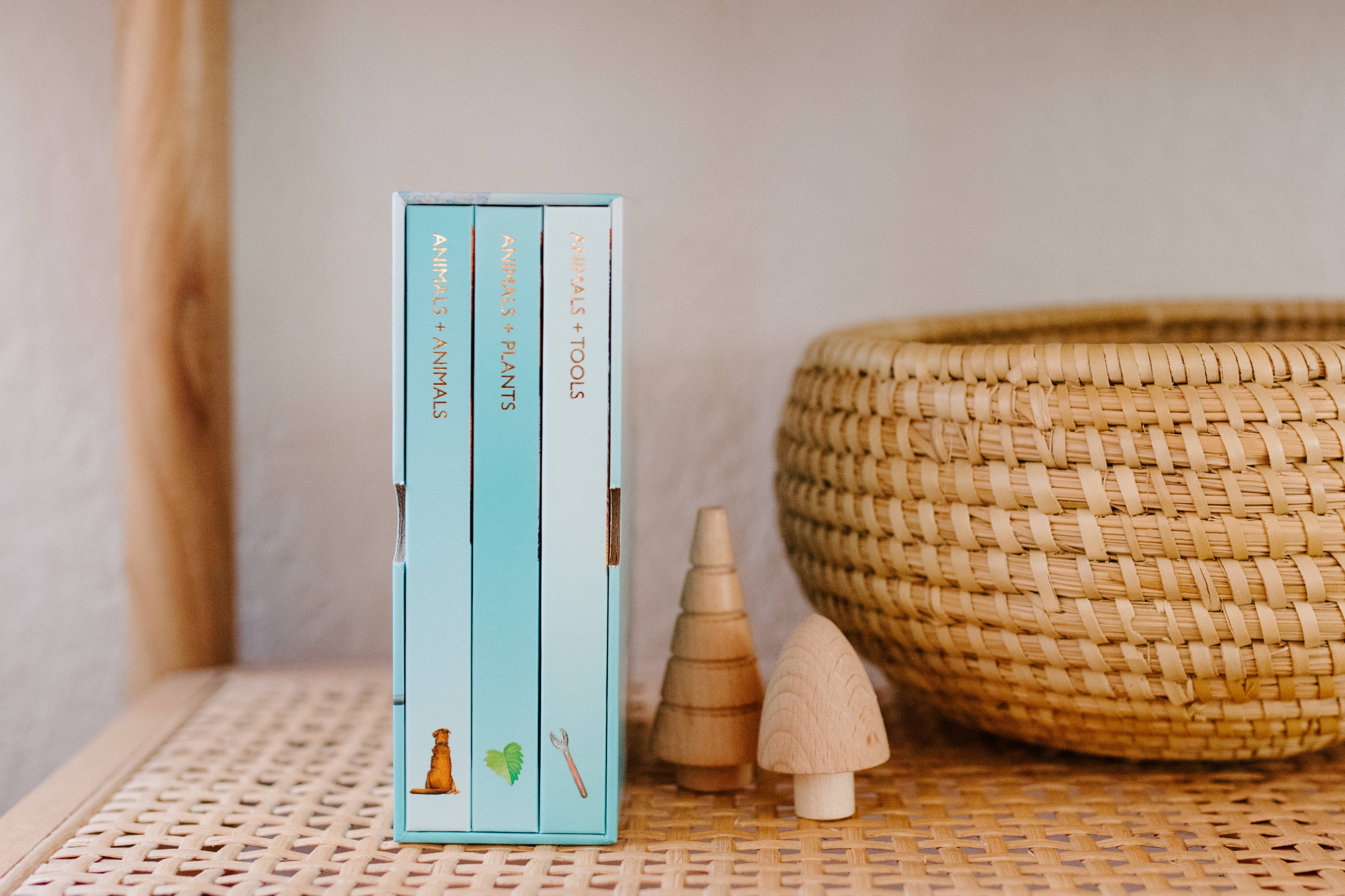 you stole my name board book box set