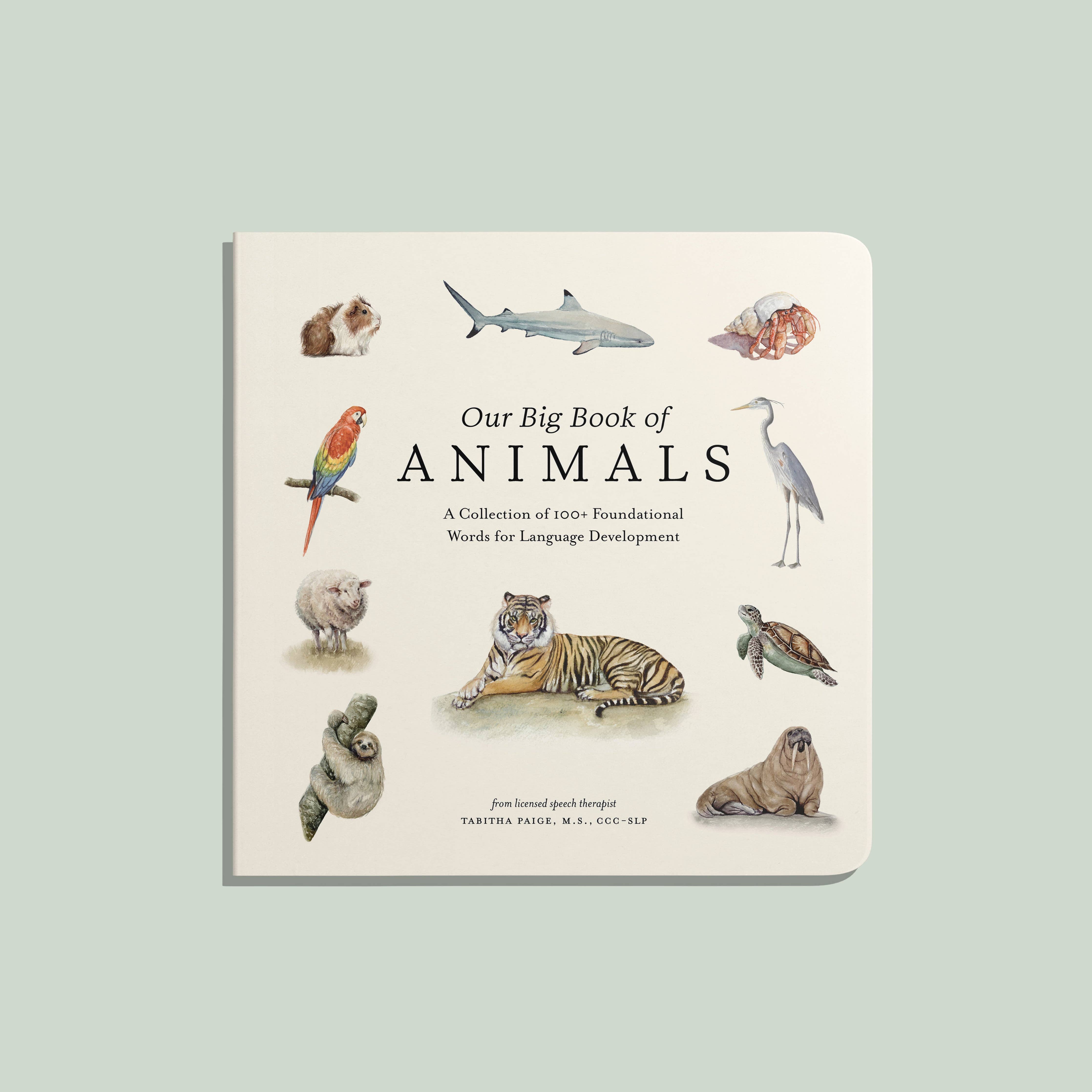 our big book of animals board book