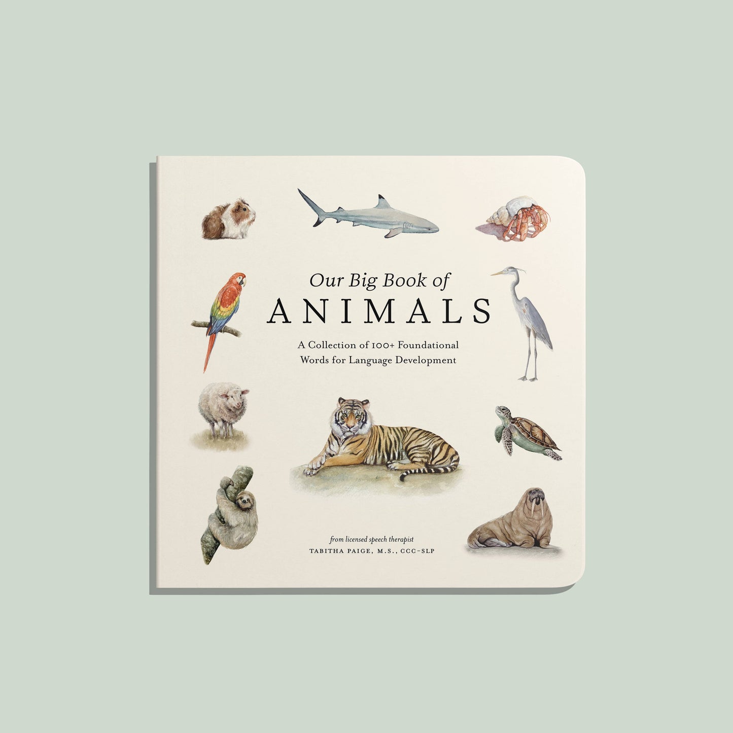 our big book of animals board book