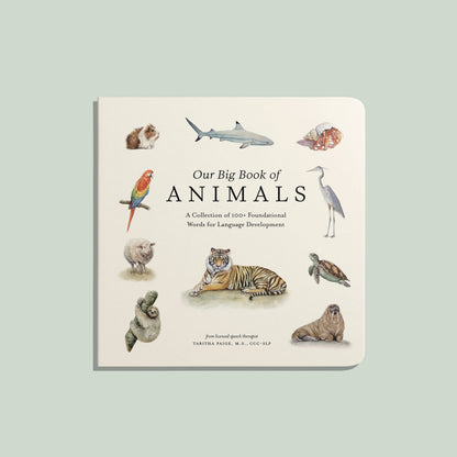 our big book of animals board book