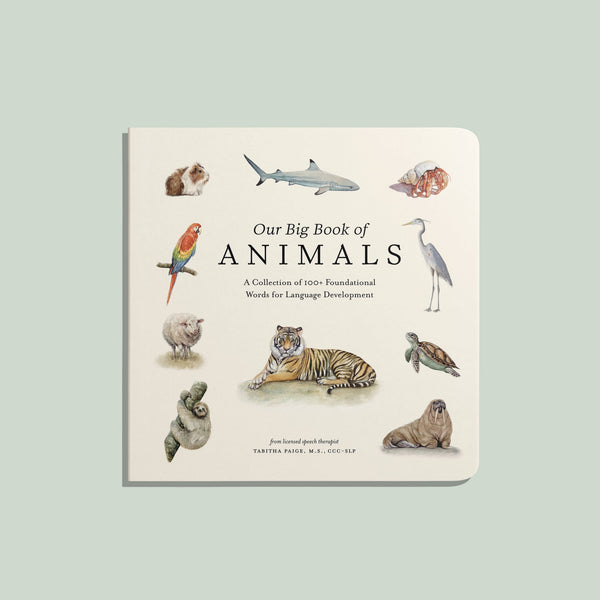 our big book of animals board book