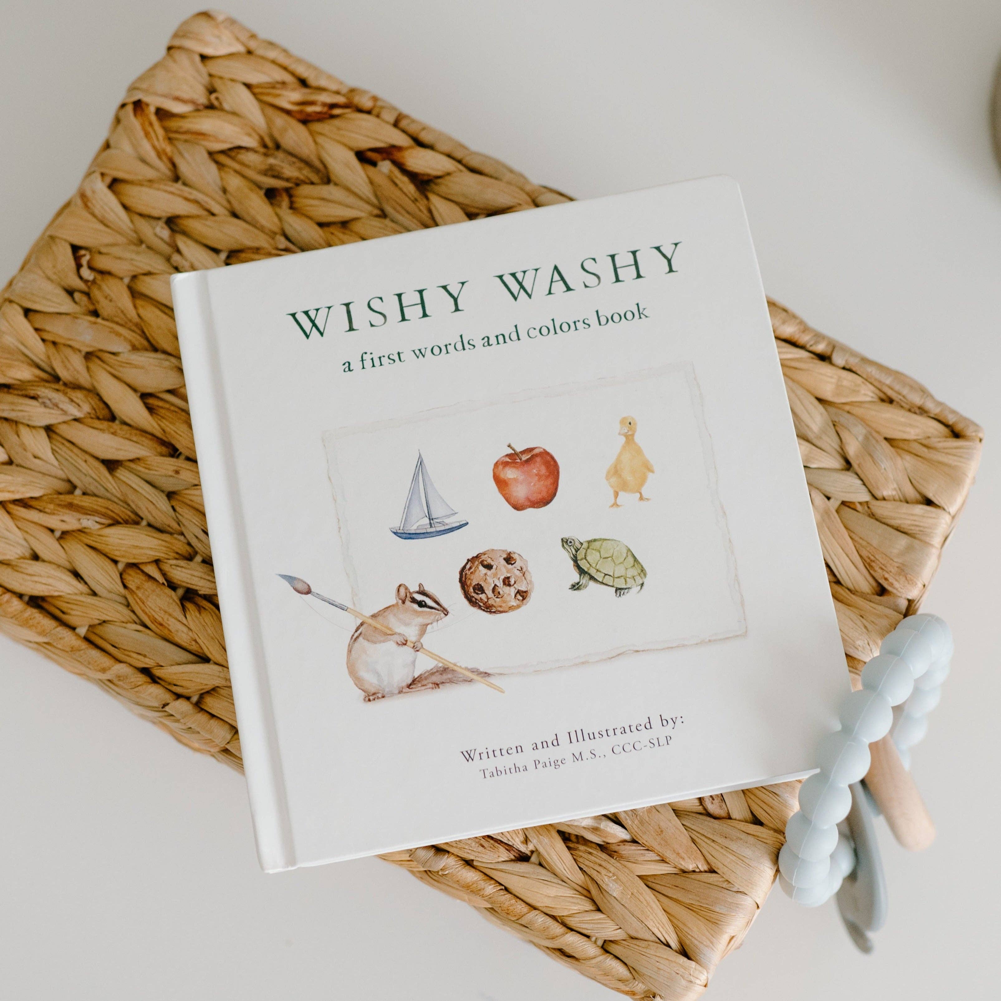 wishy washy: a board book of first words and colours