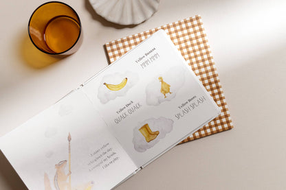 wishy washy: a board book of first words and colours