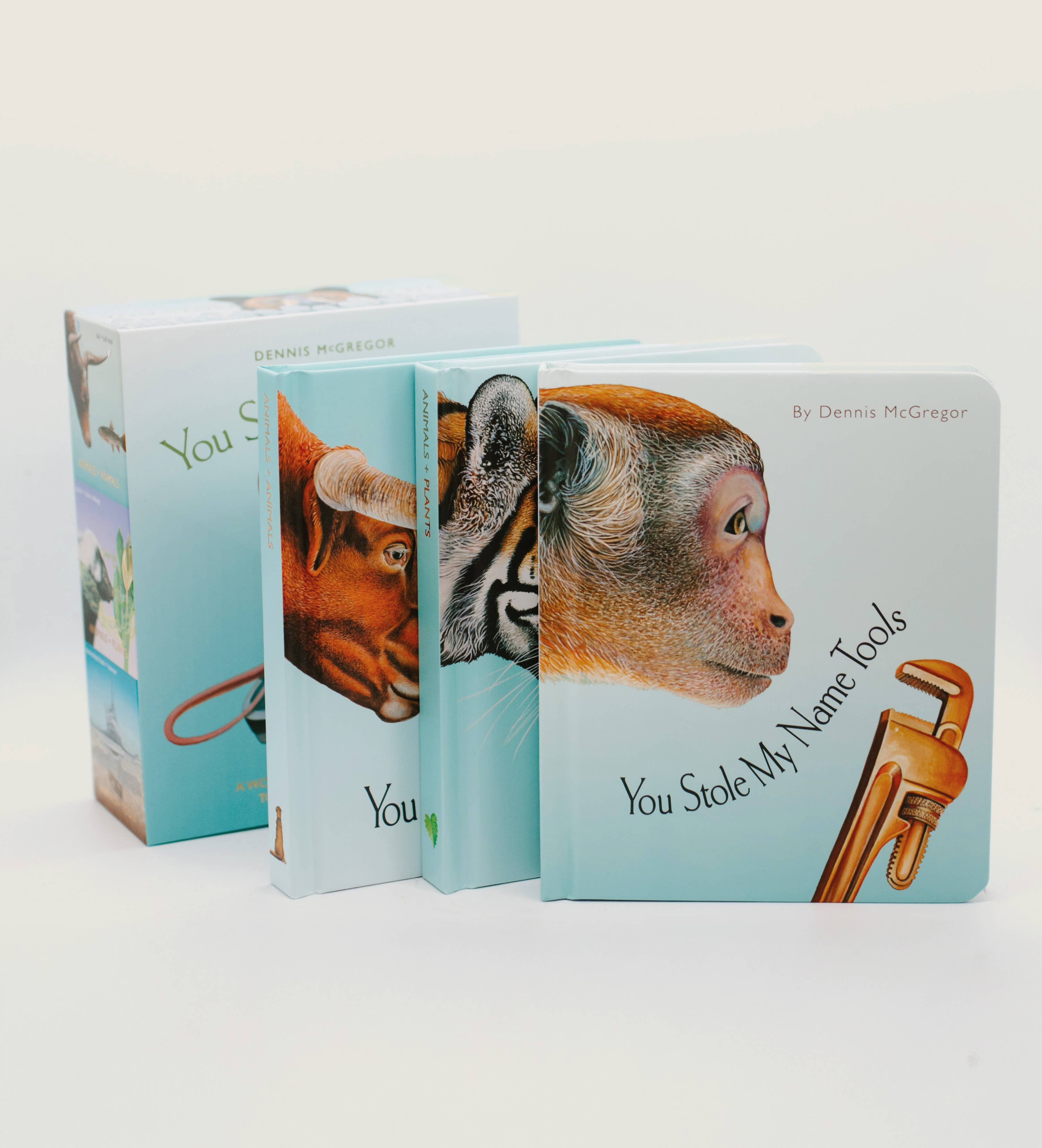 you stole my name board book box set