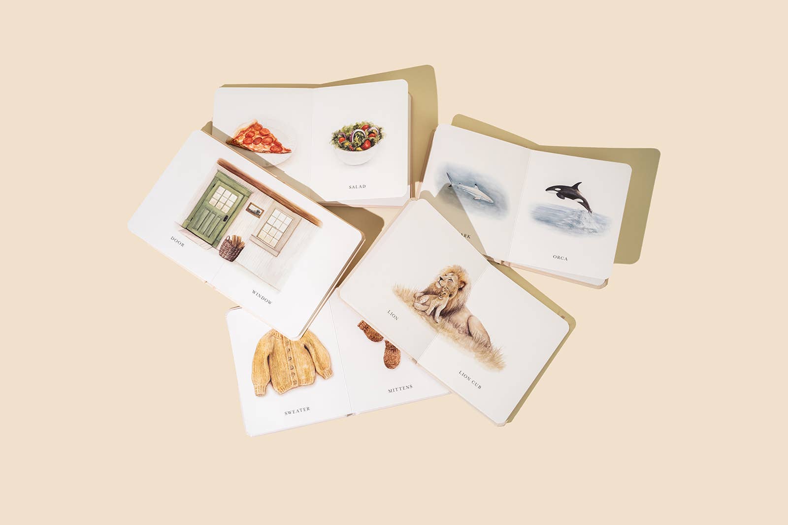 our little library vol. 2 (5 board book box set)