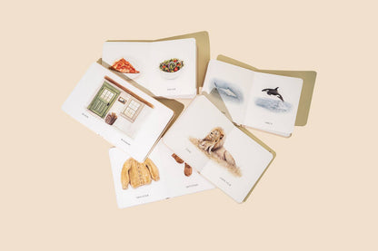 our little library vol. 2 (5 board book box set)